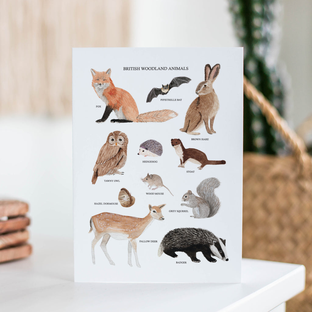 British Woodland Animals Greetings Card - Sarah Frances 