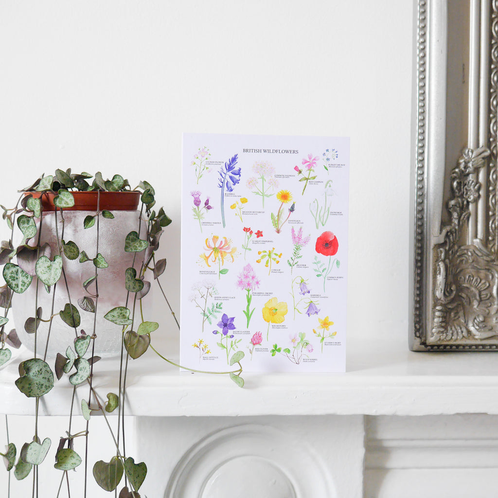 British Wildflowers Greetings Card - Sarah Frances 