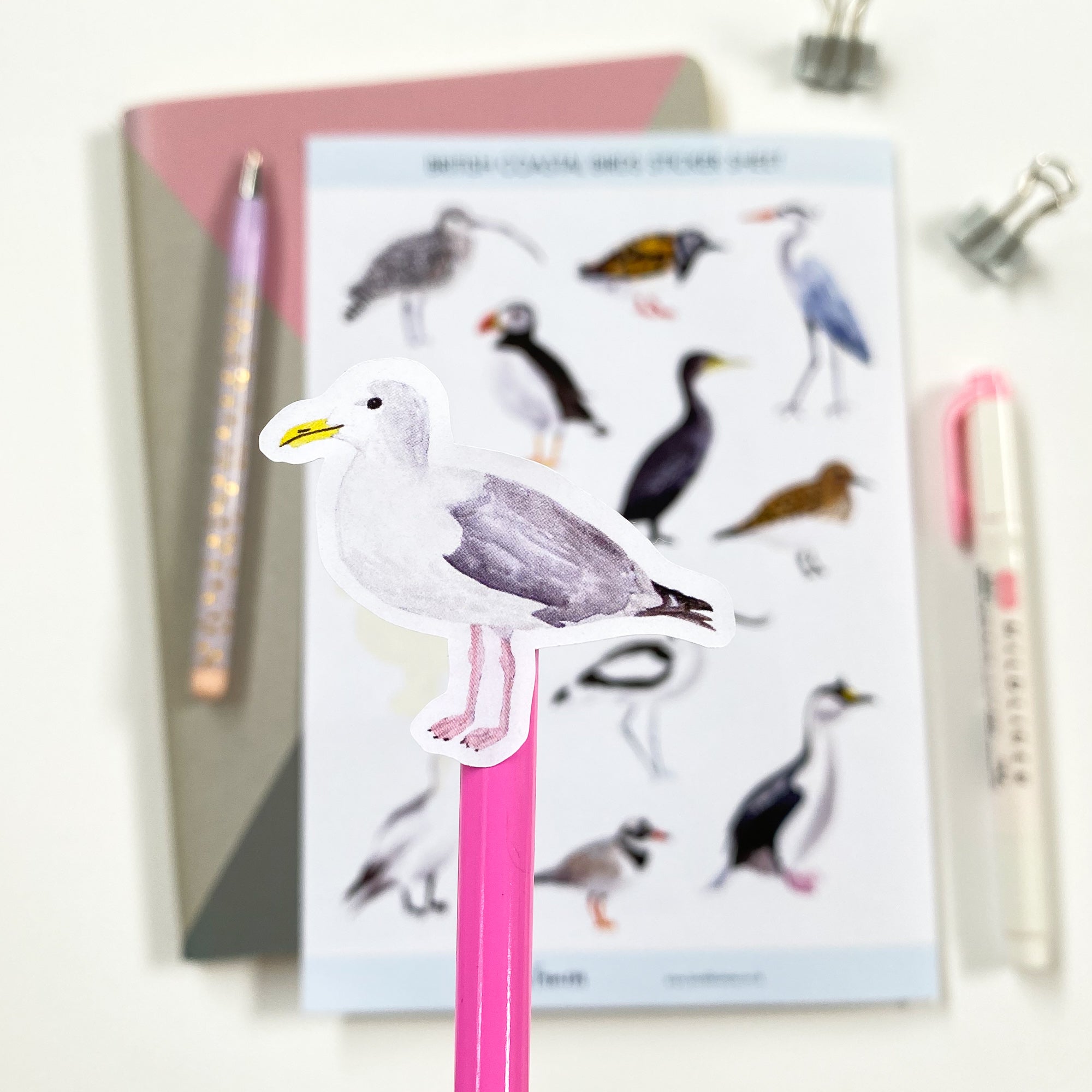 British Coastal Birds Stickers - Sarah Frances 