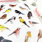 British Bird Stickers - Sarah Frances 
