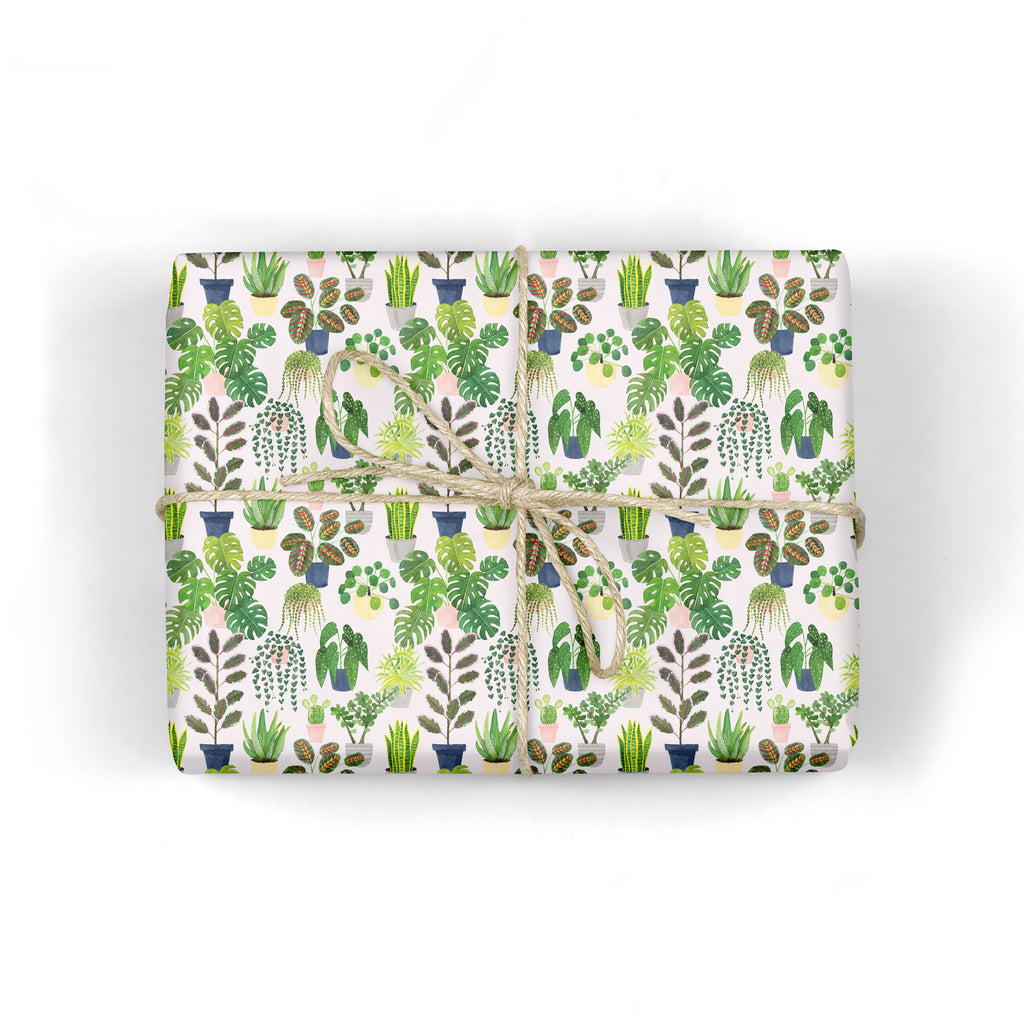 Indoor Plants Wrapping Paper - Sarah Frances 