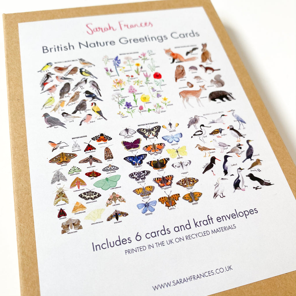 British Nature Greetings Card Pack - Sarah Frances 